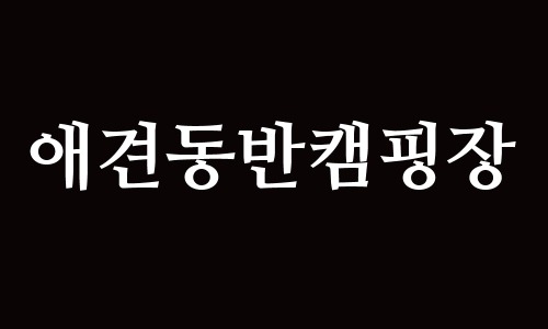 대표이미지